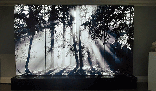 focus-favourites-LiteUpArtboard-4