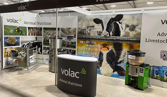 focus-favourites-RippleArtboard-9