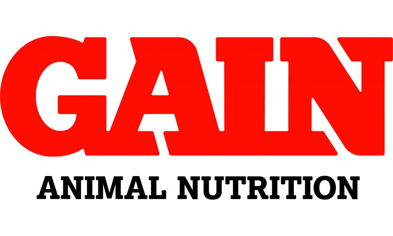 gain-logo-cmyk.800.480.0.1.t